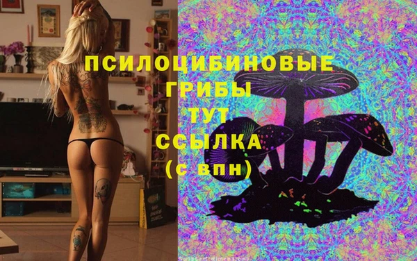 apvp Куйбышев