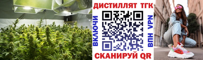 закладка Тайшет shop какой сайт Дистиллят ТГК вейп с тгк