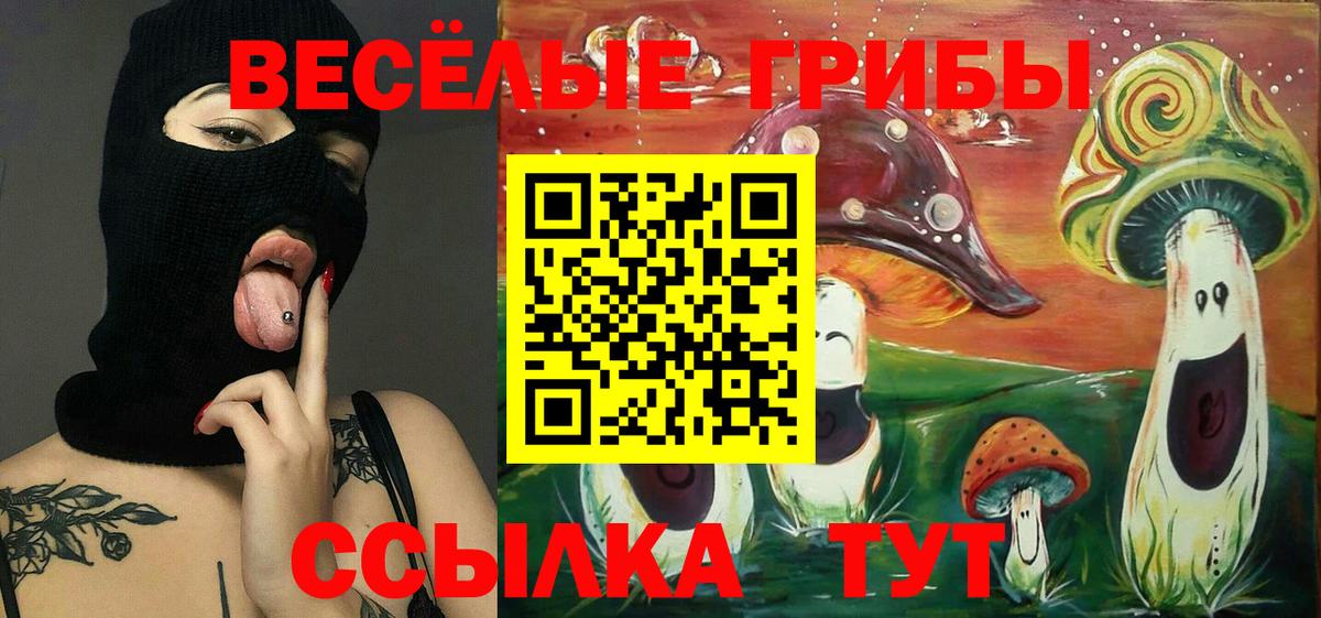 Псилоцибиновые грибы мухоморы  Псилоцибиновые грибы мухоморы  Тайшет 