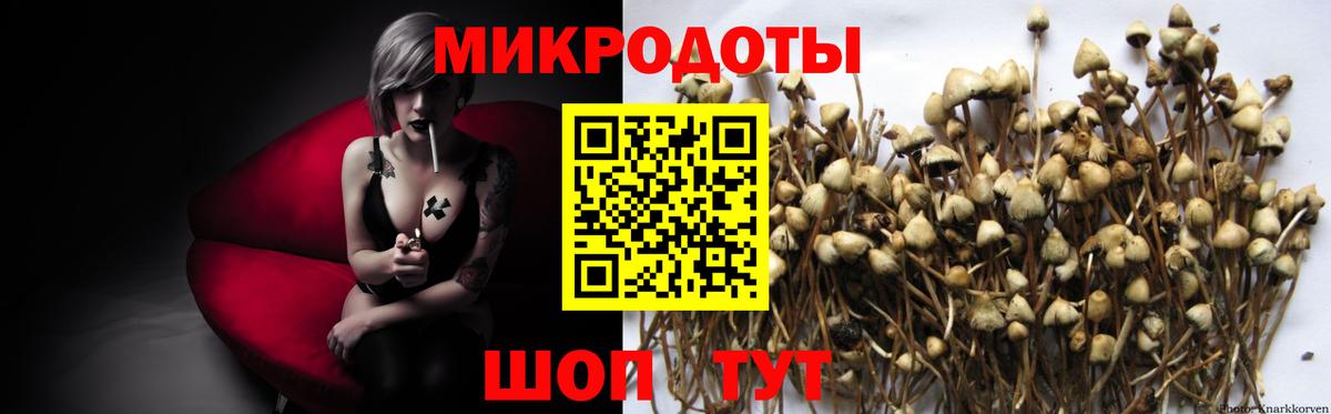 Галлюциногенные грибы ЛСД  что такое   Тайшет  Вход с VPN 
